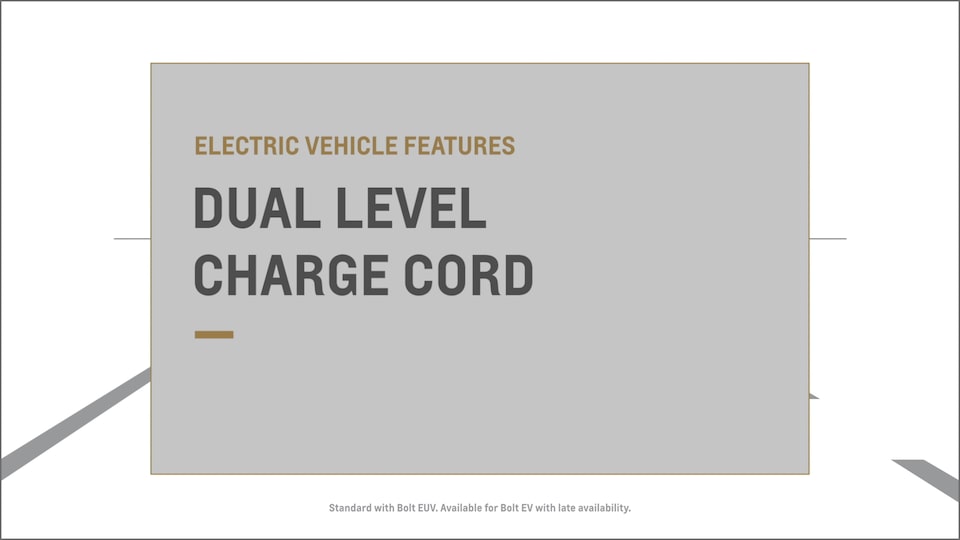 available dual level charge cord