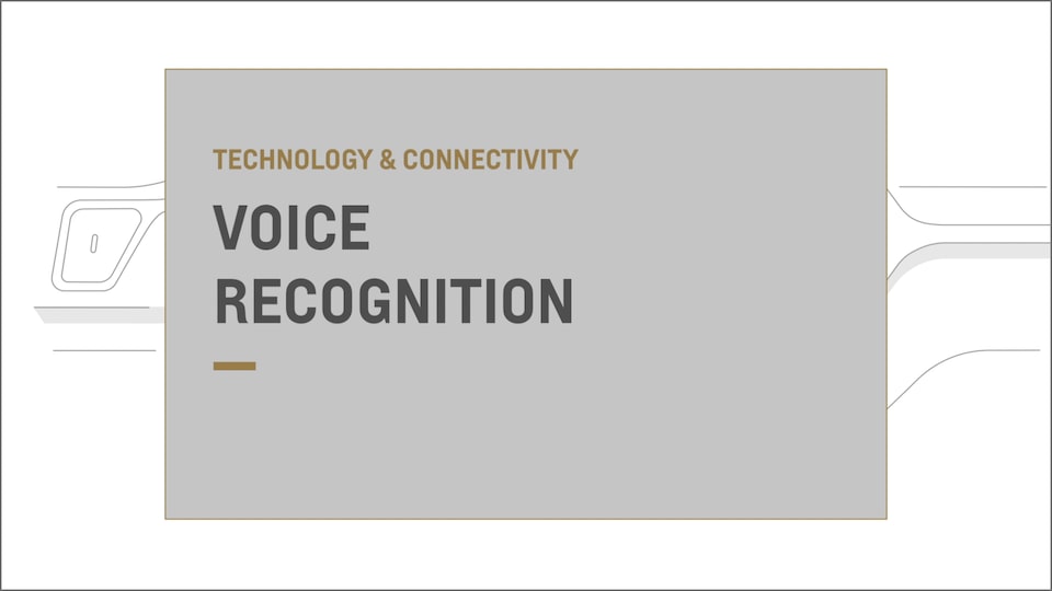 voice recognition