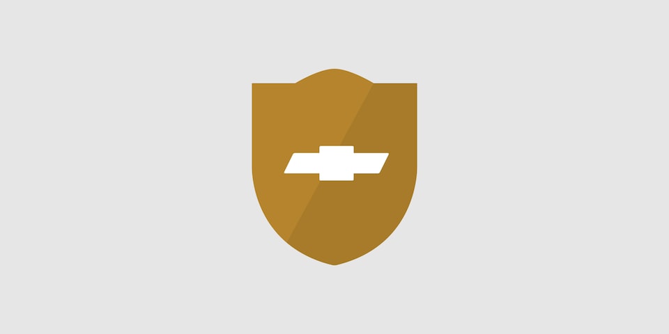 conducción y seguridad