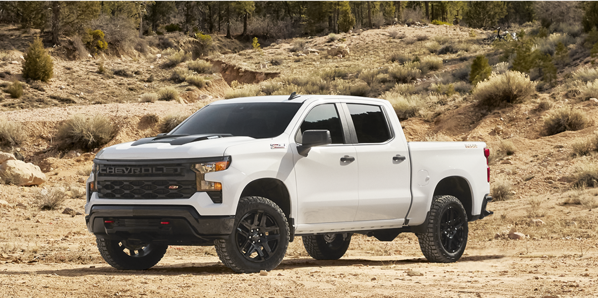 Silverado Trail Boss Truck Parked Near the Edge of a Forest