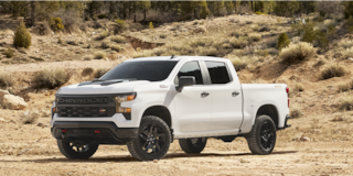 Silverado Trail Boss Truck Parked Near the Edge of a Forest
