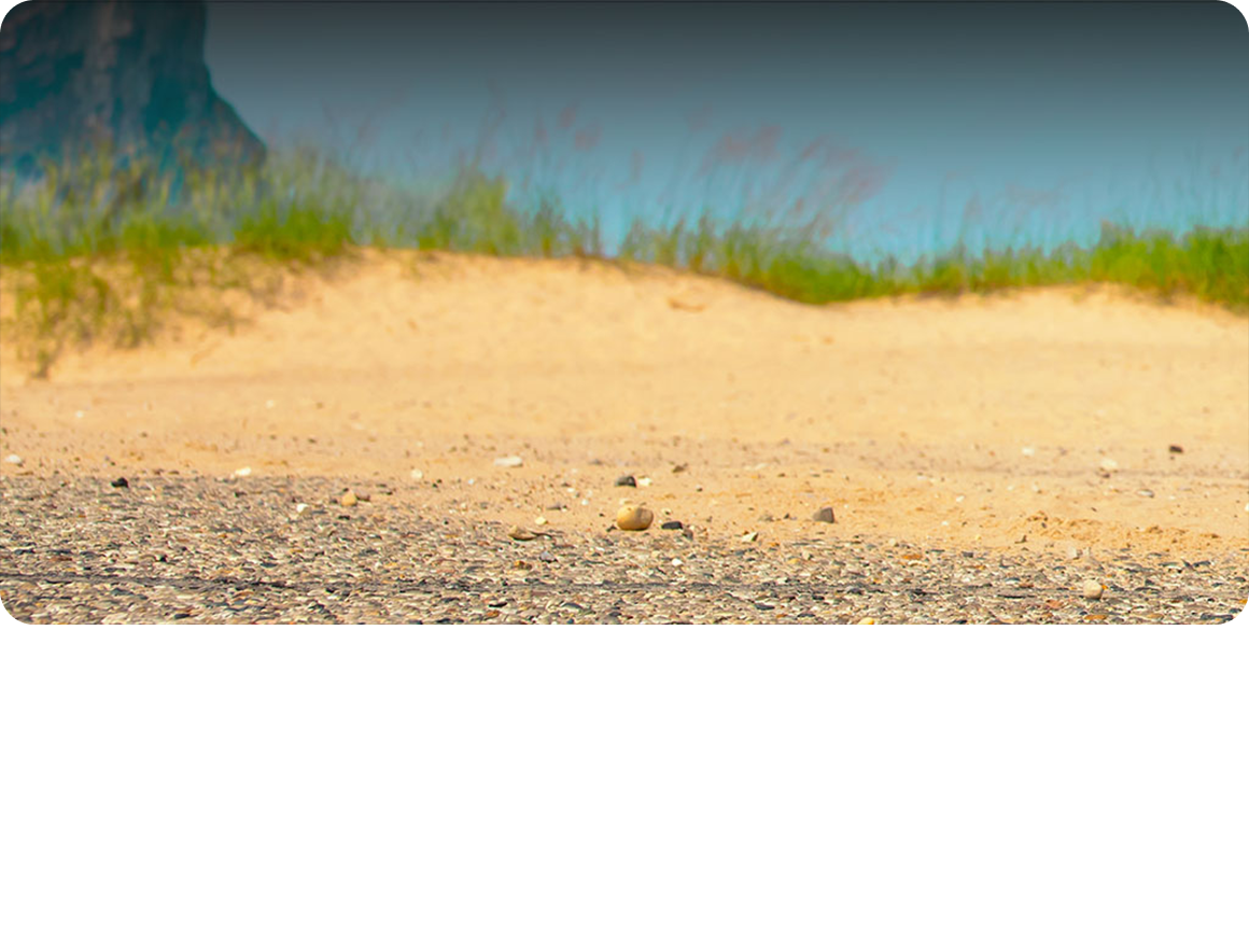 A Sandy Beach Landscape With Coastal Grasses and a Clear Blue Sky in the Background.