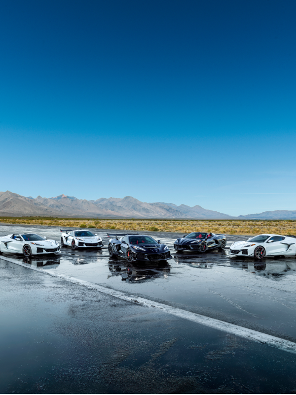 Lineup of Chevy Corvette