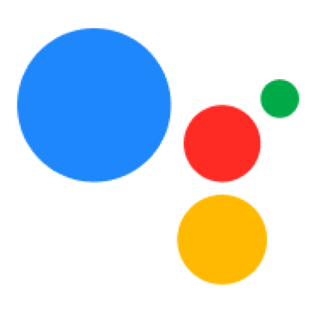 Google Icon