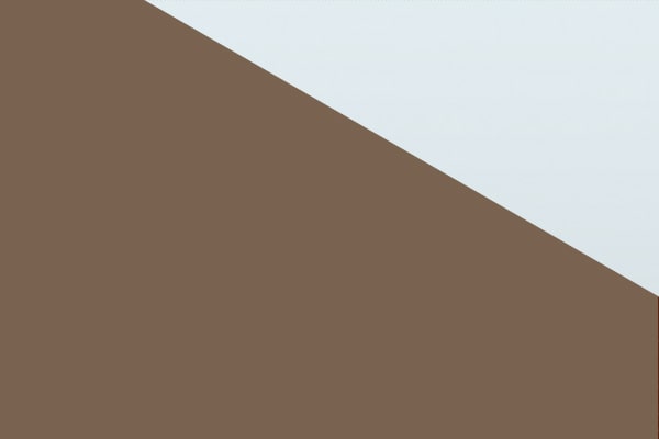 Zeus Bronze Metallic / Summit White