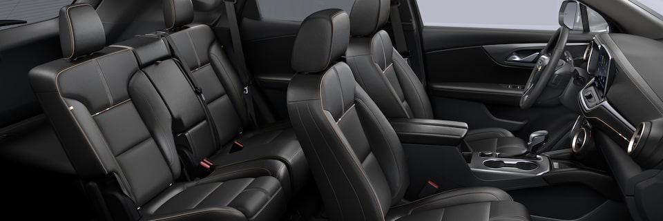 JET BLACK PERFORATED LEATHER-APPOINTED WITH SUEDED MICROFIBER ACCENTS