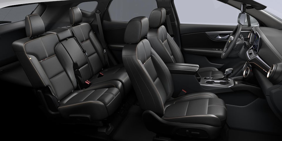 JET BLACK PERFORATED LEATHER-APPOINTED WITH SUEDED MICROFIBER ACCENTS