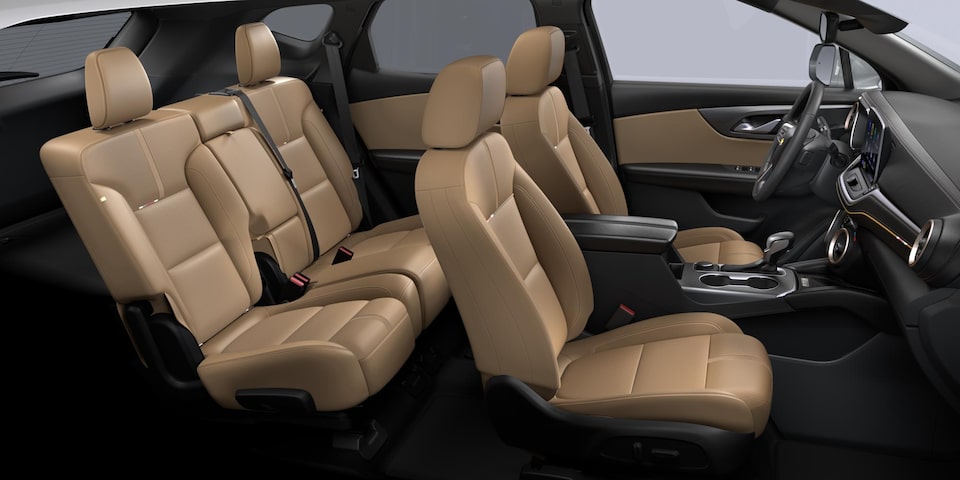 JET BLACK / MAPLE SUGAR PERFORATED LEATHER-APPOINTED WITH SUEDED MICROFIBER ACCENTS