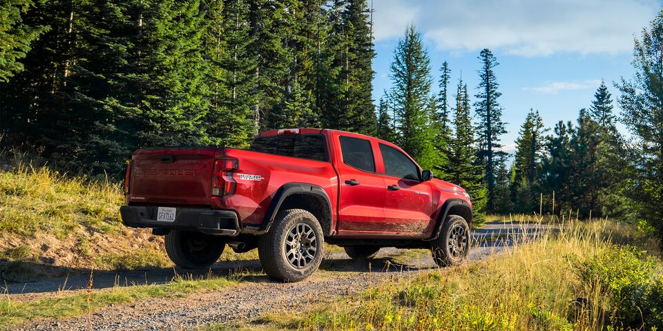 The Colorado Parked in the Woods Surrounded by Trees