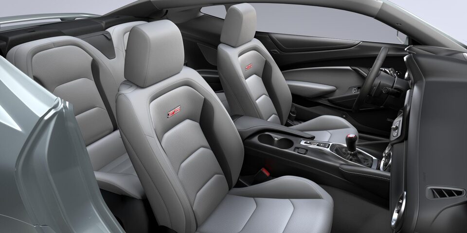 Medium ash gray