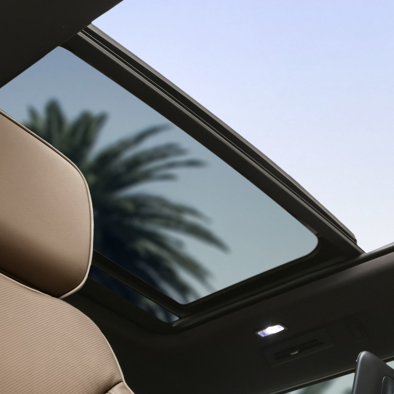 El enorme techo corredizo de la Chevy Suburban modelo 24, con una vista de algunas palmeras