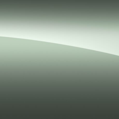 Cacti Green Coat Color