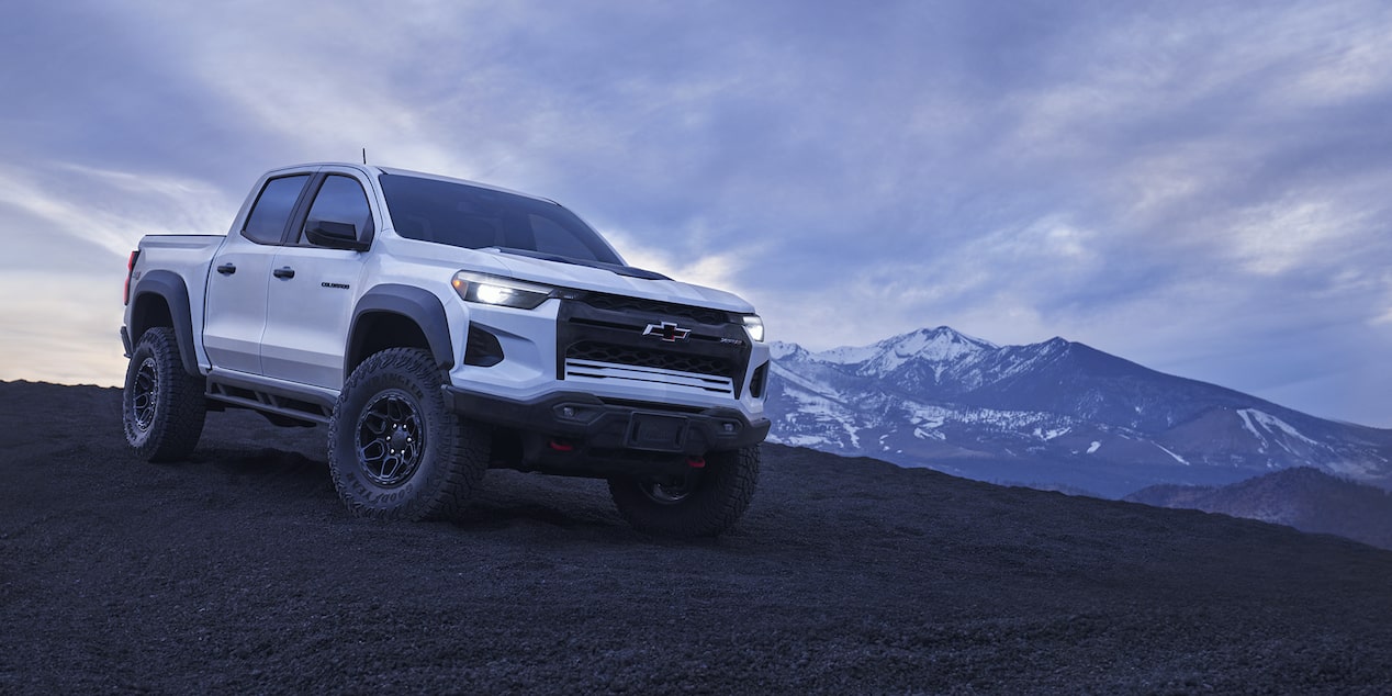 ZR2 Bison Edition at the Mountains