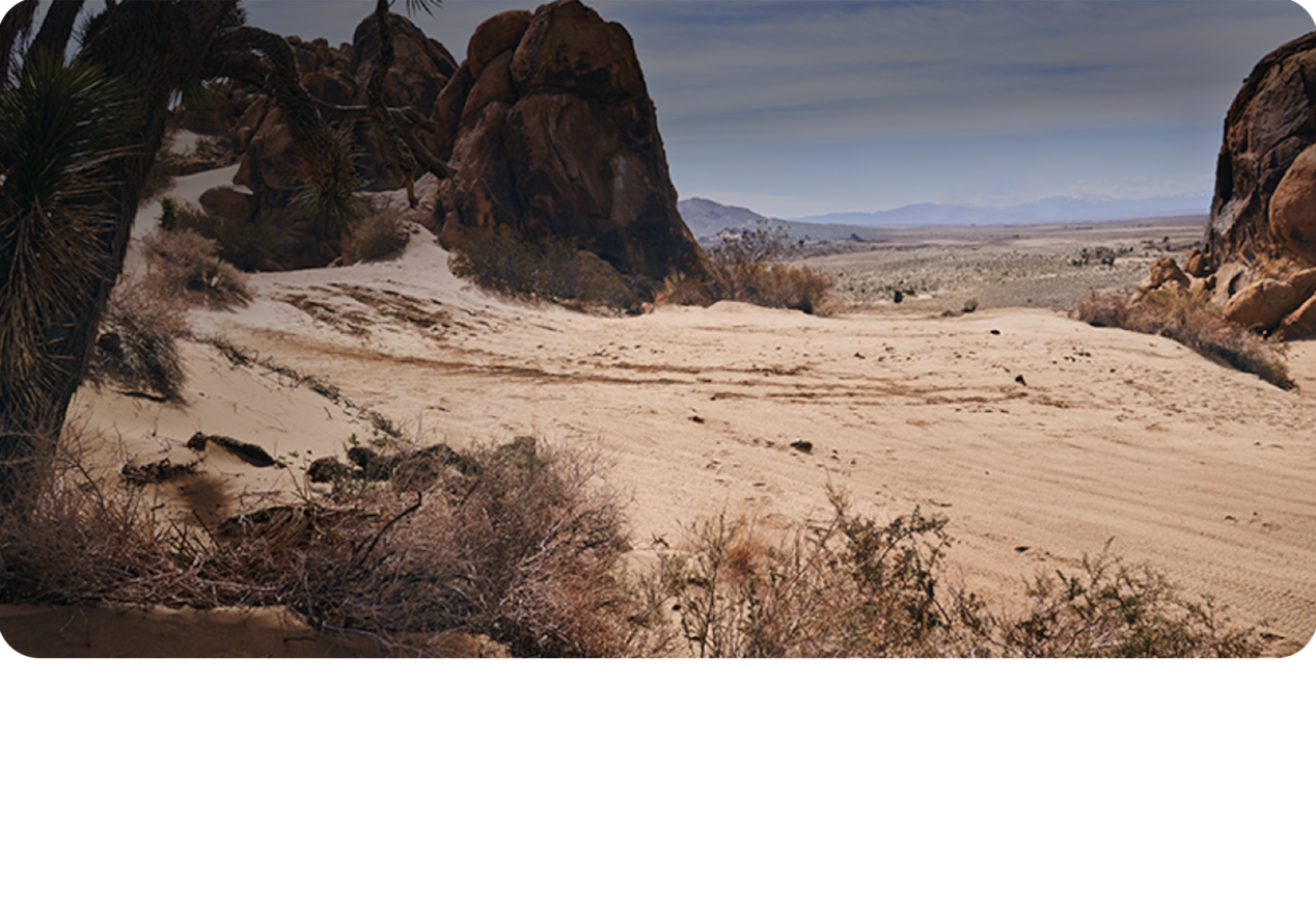Desert Backplate for Silverado LD Custom Trail Boss
