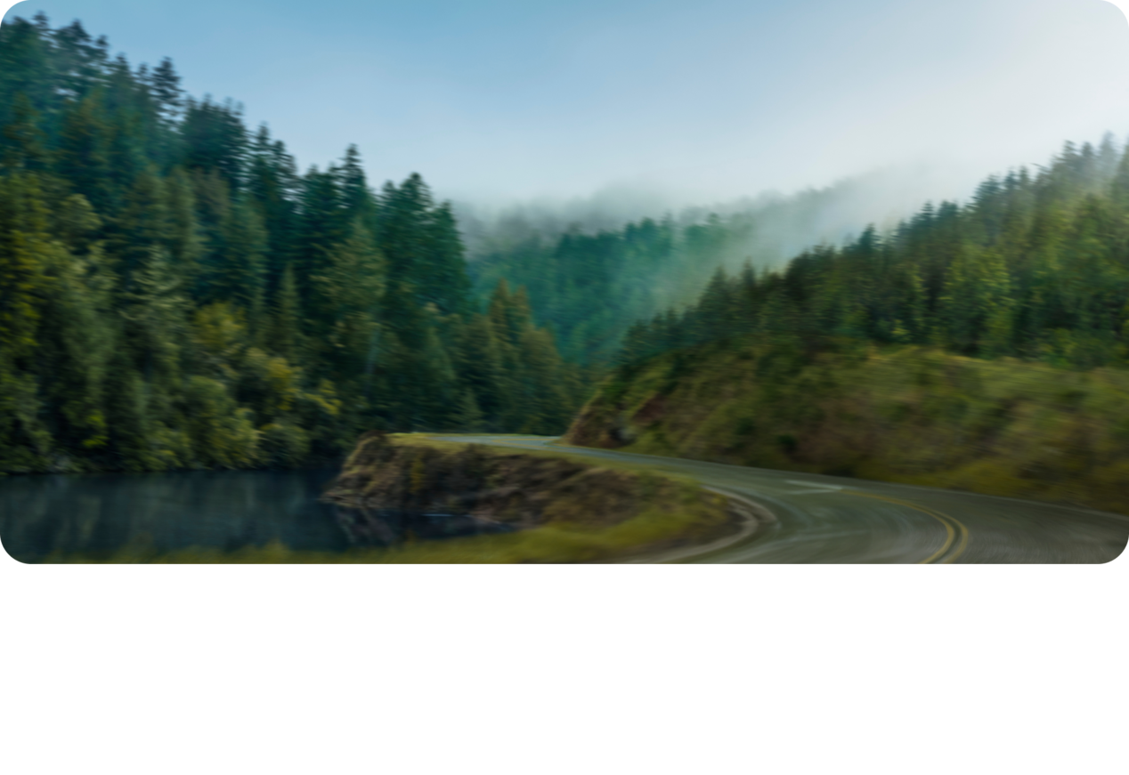 Winding Road Through a Forest
