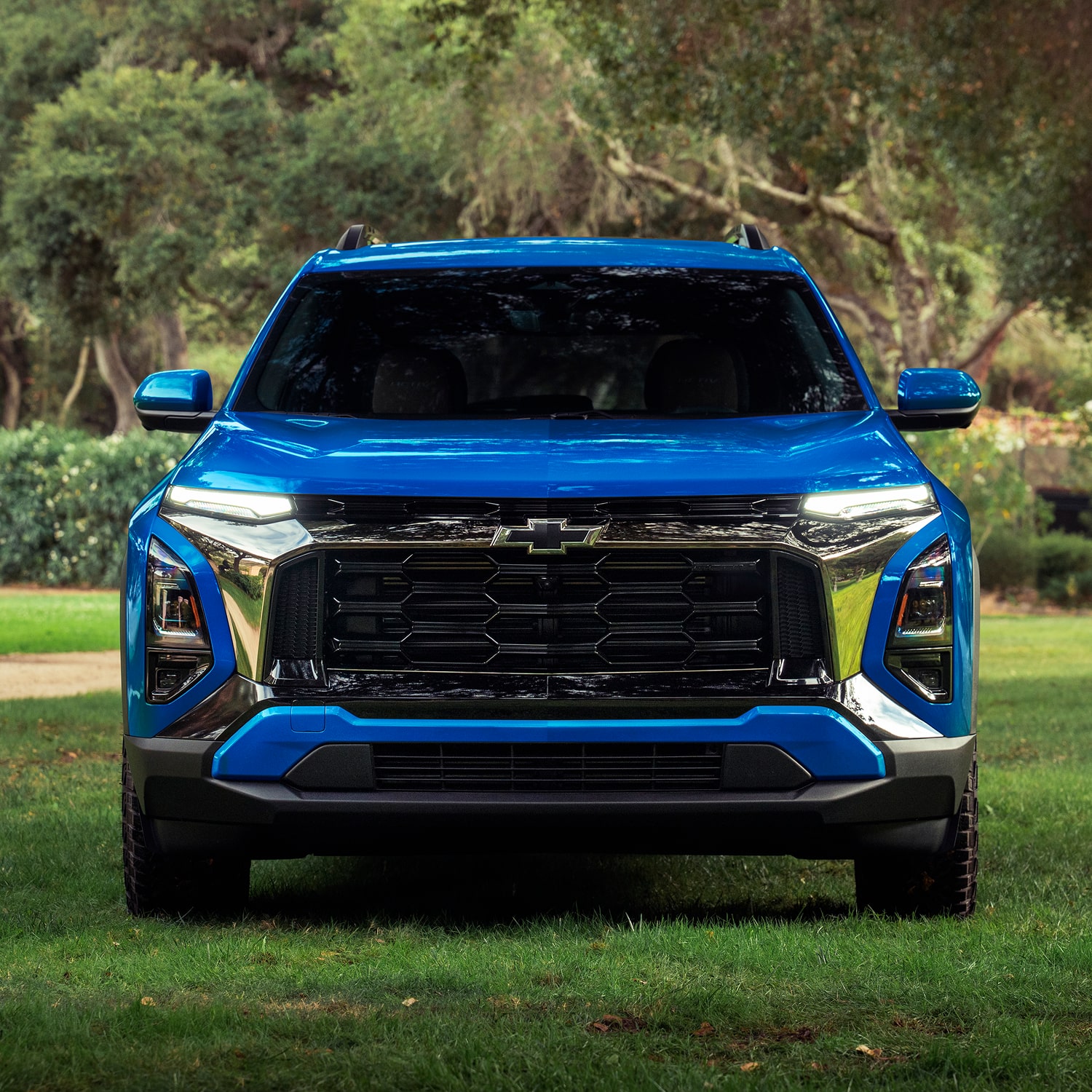 Heads On View of a Blue Chevy Equinox with its Headlights On Parked by a Tree in the Park