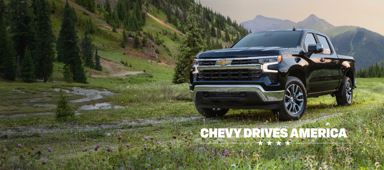 2025 SILVERADO 1500