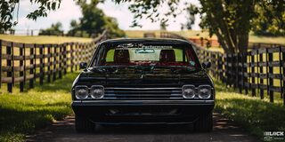 Front View of a 1969 Black Chevy Chevelle under a Shade with Fences and Grass on Both Sides
