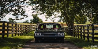 Front View of a 1969 Black Chevy Chevelle under Shade with Fences and Grass on Both Sides