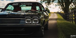 Eye Level View of the Left Side of the 1969 Chevy Chevelle on the Left Frame Surrounded by Trees and Grass