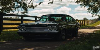 Three Quarters View of a 1969 Black Chevy Chevelle Parked under Shade Surrounded by Grass and Trees