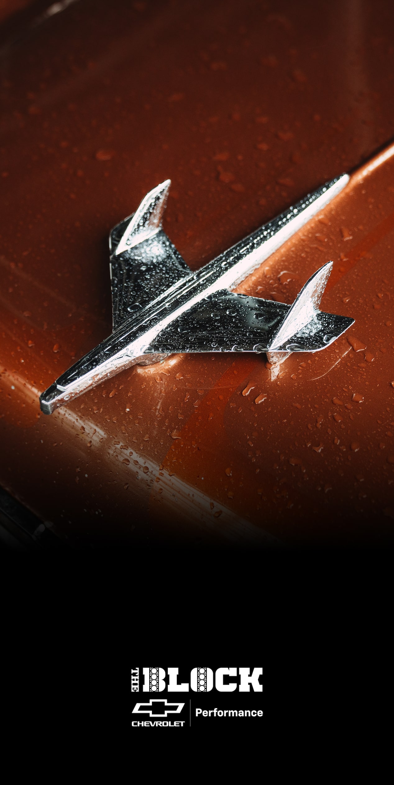 Close-up of a Chrome Hood Bird on a 1955 Chevy 210 Handyman with Rain Drops on it.