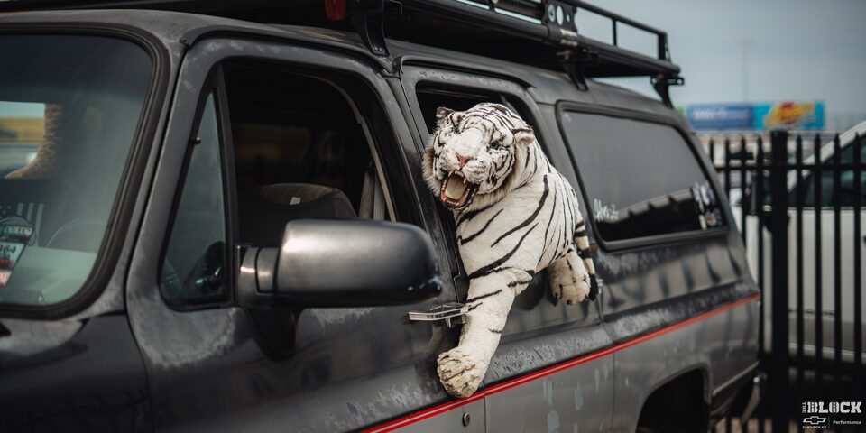 Close-up of a Black Chevrolet Pickup Truck With a White Tiger Doll Hanging Outside the Rear Driver's Side Window
